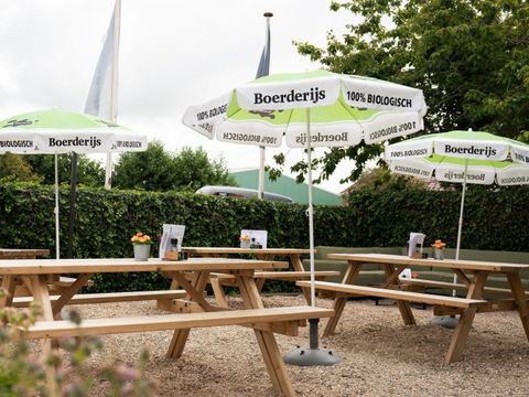 Duincamping de Lepelaar - Camping Schagen - Image N°15