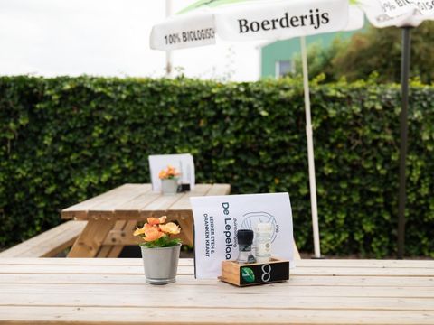 Duincamping de Lepelaar - Camping Schagen - Image N°14