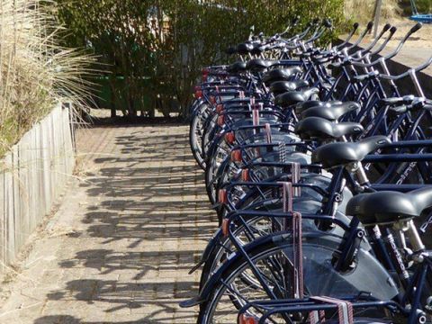 Duincamping de Lepelaar - Camping Schagen - Image N°12