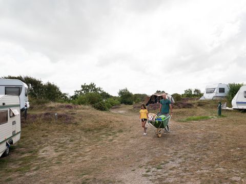 Duincamping de Lepelaar - Camping Schagen - Image N°26