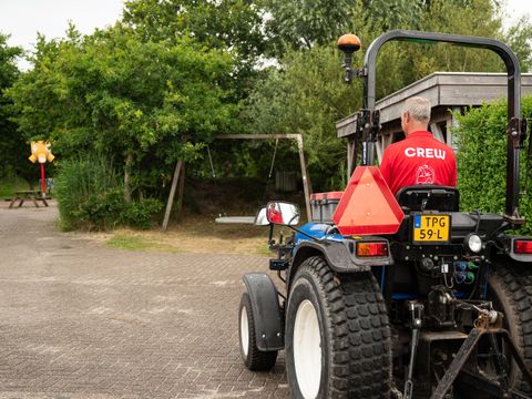 Duincamping de Lepelaar - Camping Schagen - Image N°6