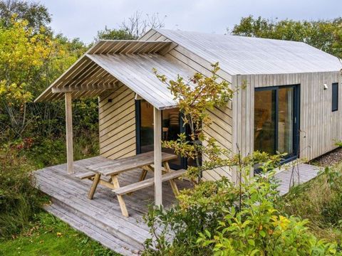 Duincamping de Lepelaar - Camping Schagen - Image N°21