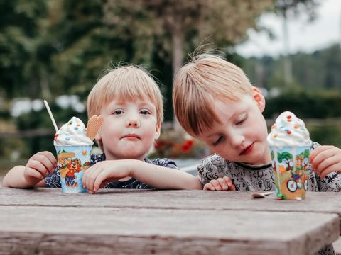 Recreatiepark de Achterste Hoef - Camping Bladel - Image N°12
