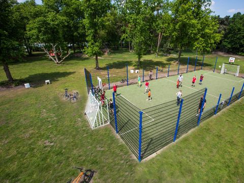 Recreatiepark de Achterste Hoef - Camping Bladel - Image N°13