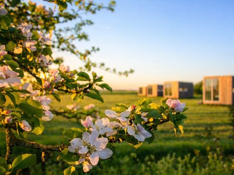 CHAMBRE 2 personnes - Anjewel Meadows Suite