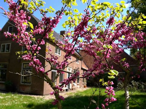 MAISON 16 personnes - Foyer de groupe Weidum