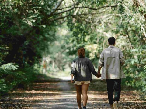  Pean-Buiten Weidum - Camping Leeuwarden - Image N°21