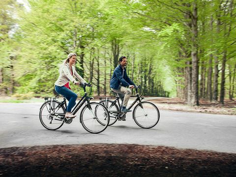  Pean-Buiten Weidum - Camping Leeuwarden - Image N°22
