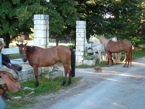 Camping Brantôme Far Ouest - Camping Dordogne - Image N°3