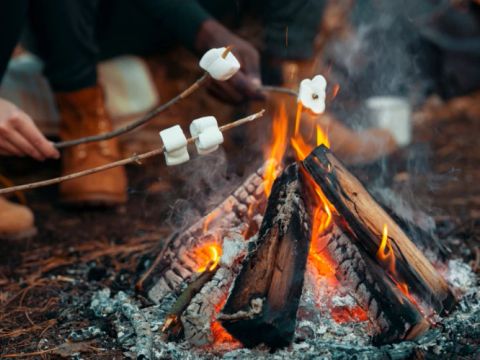 Camping Héiltzerstee - Camping Luxembourg - Image N°9