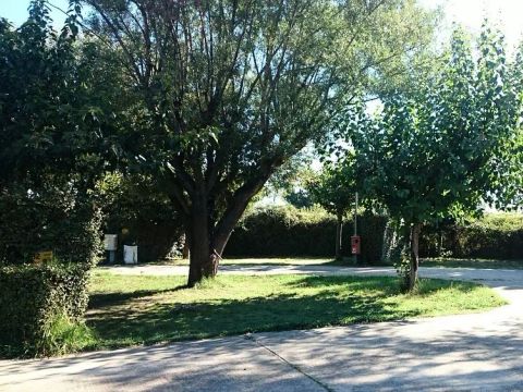 Camping City  - Camping Bouches-du-Rhône - Image N°2