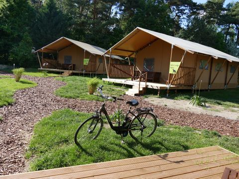 TENTE TOILE ET BOIS 6 personnes