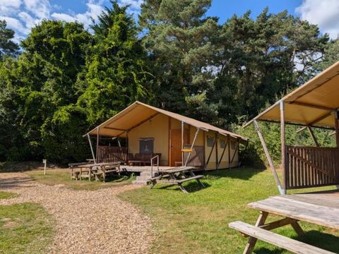 TENTE TOILE ET BOIS 6 personnes
