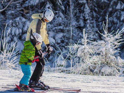 Landal Marina Lipno - Camping Bohême-du-Sud - Image N°26