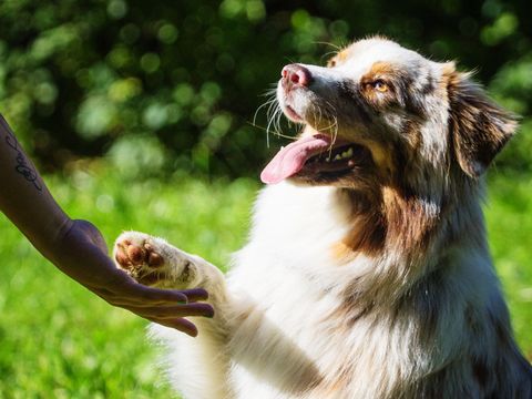 Club del Sole Le Gorette Cecina Easy Camping Village - Camping Livourne - Image N°17