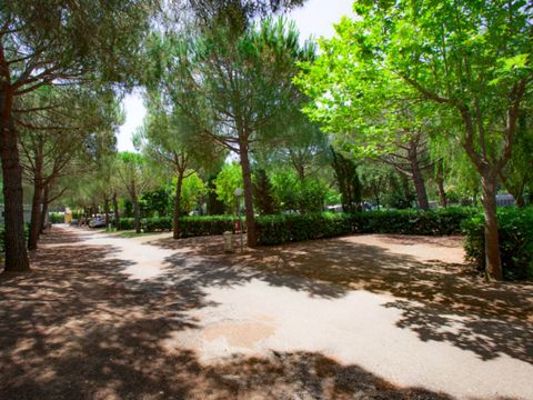 Club del Sole Le Gorette Cecina Easy Camping Village - Camping Livourne - Image N°16