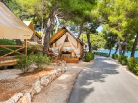 Arena One99 Glamping - Camping Istrie - Image N°20