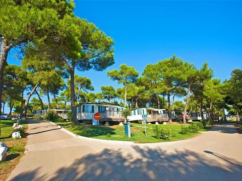MOBILHOME 5 personnes - Park side