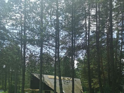 TENTE 4 personnes - Aménagée "Bengali"