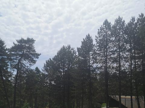 Camping Les Sapins de Corrèze - Camping Doubs - Image N°2