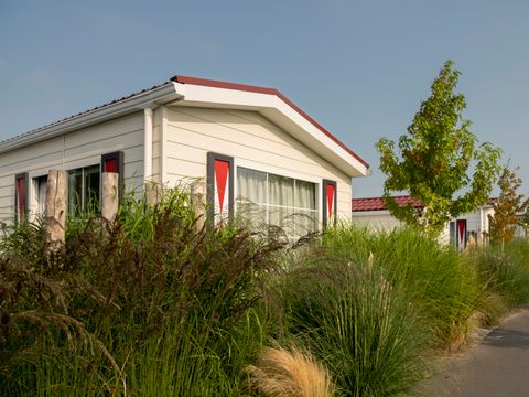 Siblu Camping Duinzicht - Camping Veere - Image N°13