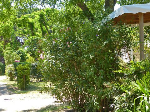 MOBILHOME 5 personnes - Mobil home "Super Mercure Riviera" - 29m² - 2 chambres -