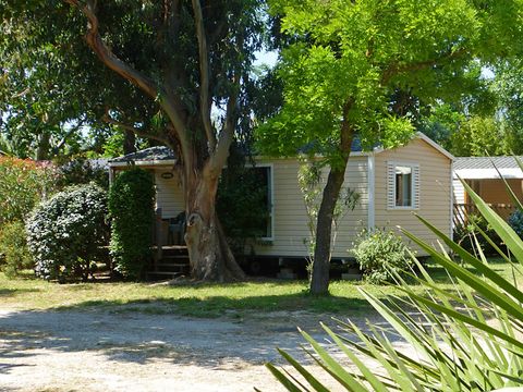 Camping Saint-Pons - Camping Var - Image N°8