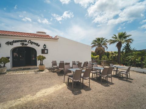 Camping Albufeira - Camping Algarve - Portugal - Image N°18