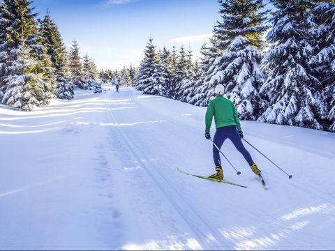 Landal Alpine Lodge Lenzerheide - Camping Mittelbünden - Image N°35