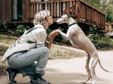 LODGE 6 personnes - Ecolodge | 3 Chambres | Animaux acceptés