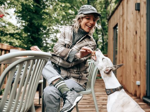 LODGE 6 personnes - Ecolodge | 3 Chambres | Animaux acceptés