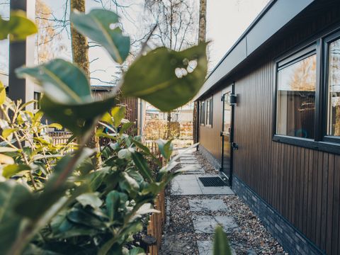 CHALET 6 personnes - Ridderstede avec sauna