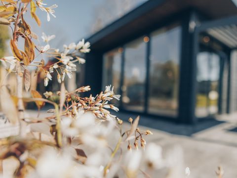CHALET 6 personnes - Lichtenberg