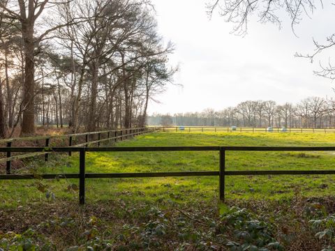 CHALET 4 personnes - Ridderstede
