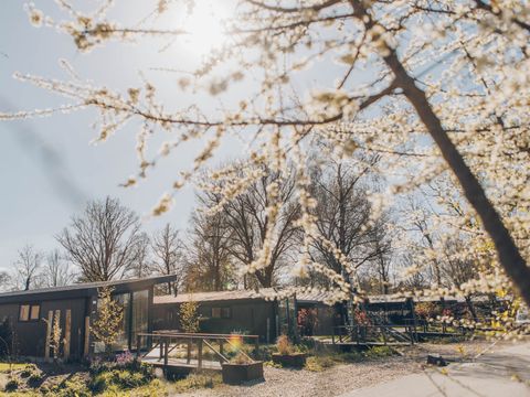 CHALET 4 personnes - Lichtenberg avec bain à remous