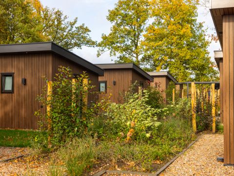 CHALET 4 personnes - Renshorst avec sauna