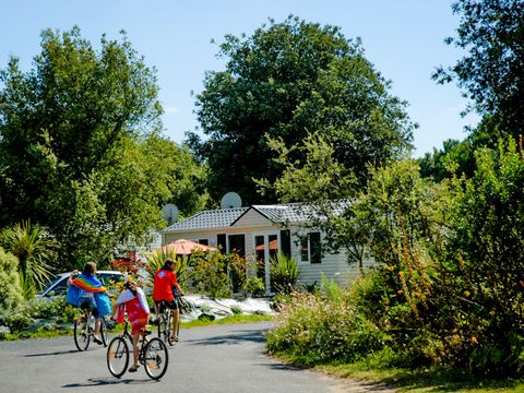 Camping île Blanche - Ile de Ré - Camping Charente-Maritime - Image N°6