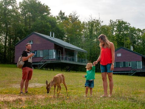 Goélia Le Domaine des Nouailles - Camping Dordogne - Image N°5