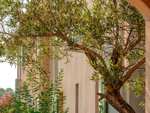 Goélia Le Mas des Arènes - Camping Bouches-du-Rhône - Image N°8