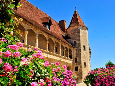 Résidence Goélia Aquaresort - Camping Lot-et-Garonne - Image N°6