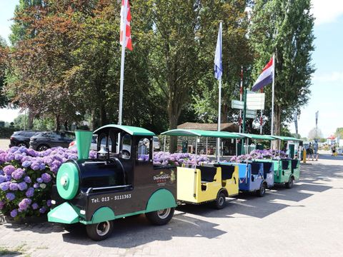 Recreatiepark Duinhoeve - Camping Tilburg - Image N°4