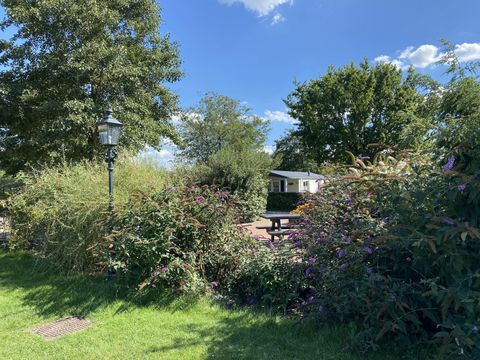 Recreatiepark Duinhoeve - Camping Tilburg - Image N°5
