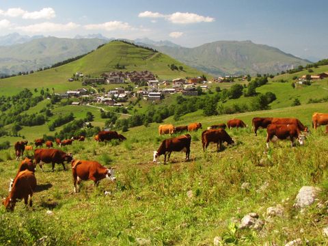 Goélia Les Chalets des Pistes - Camping Haute-Savoie - Image N°10