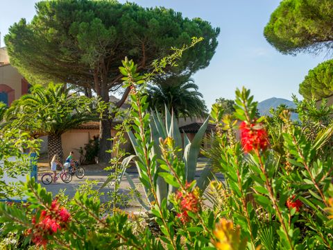 Goélia Argelès Village Club - Camping Pyrénées-Orientales - Image N°48