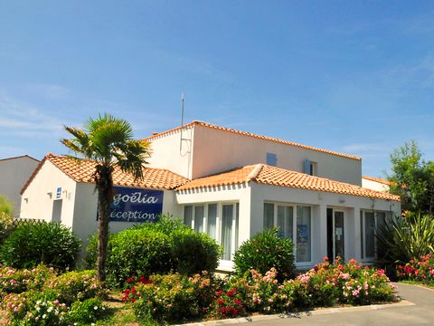 Résidence Goélia La Palmeraie - Camping Charente-Maritime - Image N°3