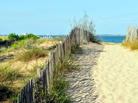 Résidence Goélia La Palmeraie - Camping Charente-Maritime - Image N°2