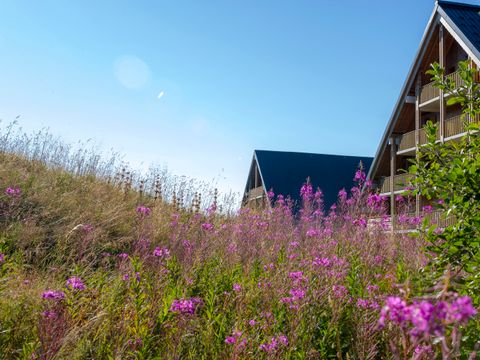 Résidence Goélia Les Chalets de Super Besse - Camping Puy-de-Dôme - Image N°21