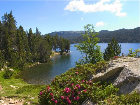 Résidence Goélia - Le Domaine de Castella - Camping Pyrénées-Orientales - Image N°3