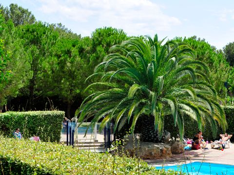 Résidence Goélia, Arcadius Balaruc - Camping Hérault - Image N°12