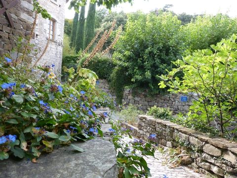 Domaine des Garrigues - Camping Ardèche - Image N°35